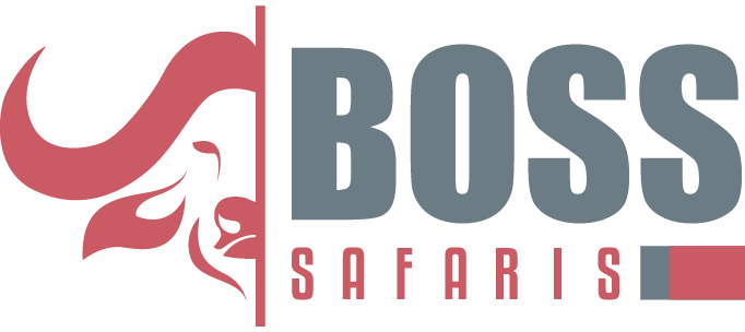 Boss Safaris